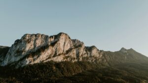 Felswand über bewaldetem Hang im Abendlicht