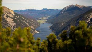 Langgestreckter Bergsee zwischen steilen Hängen, Latschen im Vordergrund