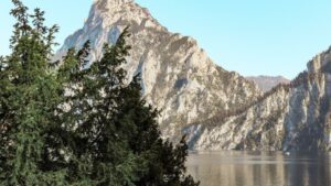 Felsiger Berg über einem See, Nadelbaum im Vordergrund
