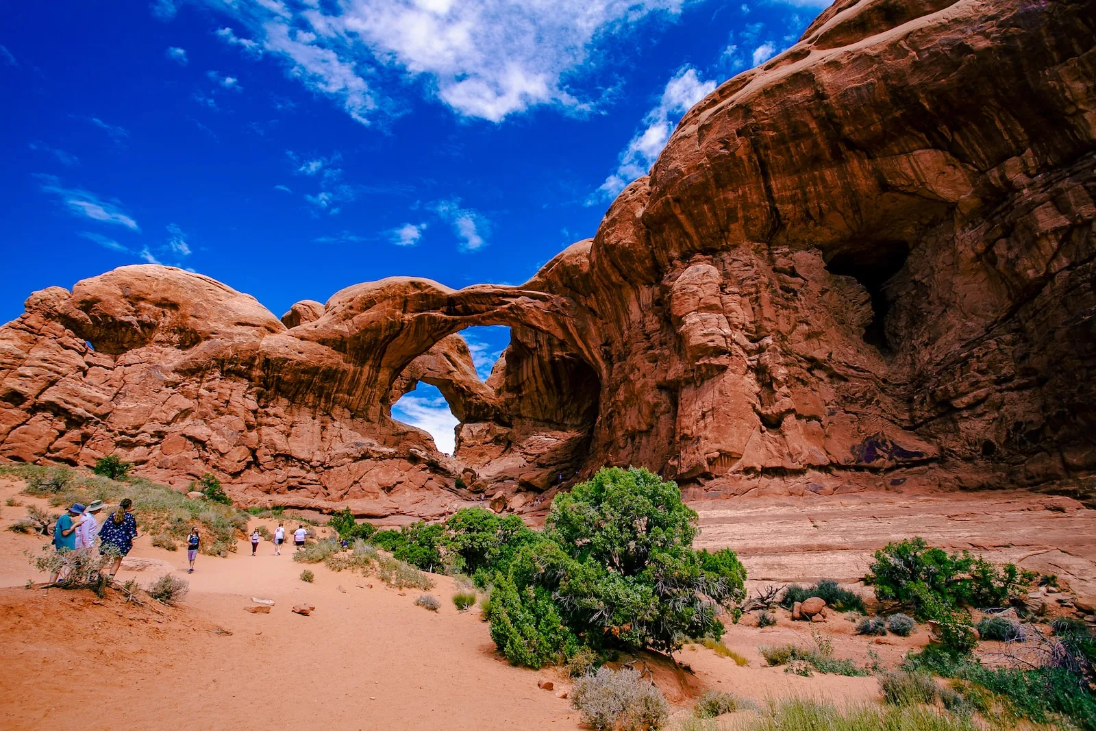 Photo by Hanqing Jin brown rock formation near green trees under blue sky during daytime