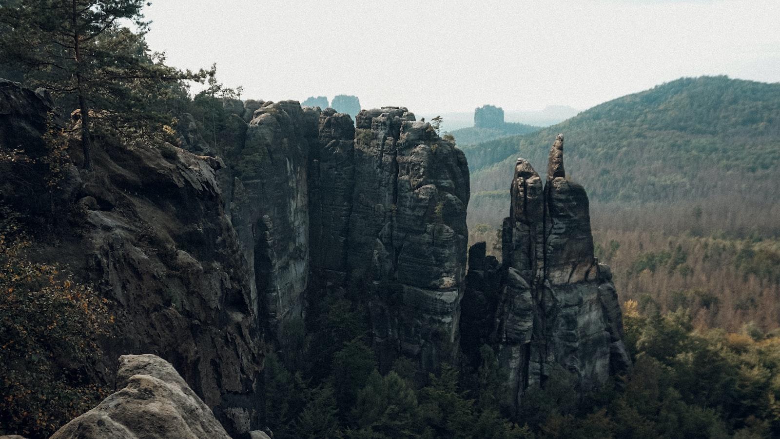 Die Rolle der Nationalparks im Naturschutz und Biodiversität